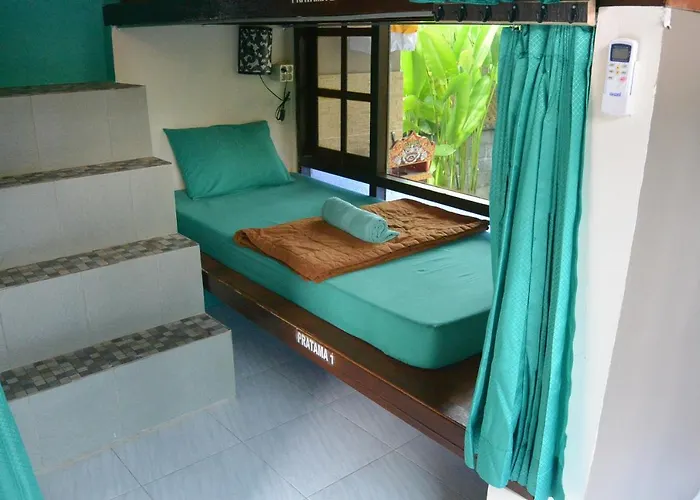 Gogo Backpackers House Hostal *