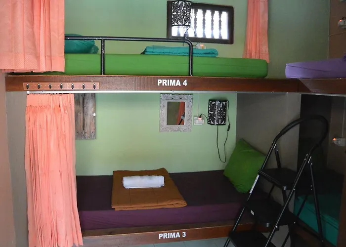 Hostal Gogo Backpackers House