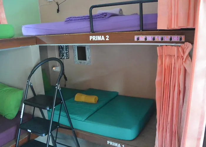 Hostal Gogo Backpackers House