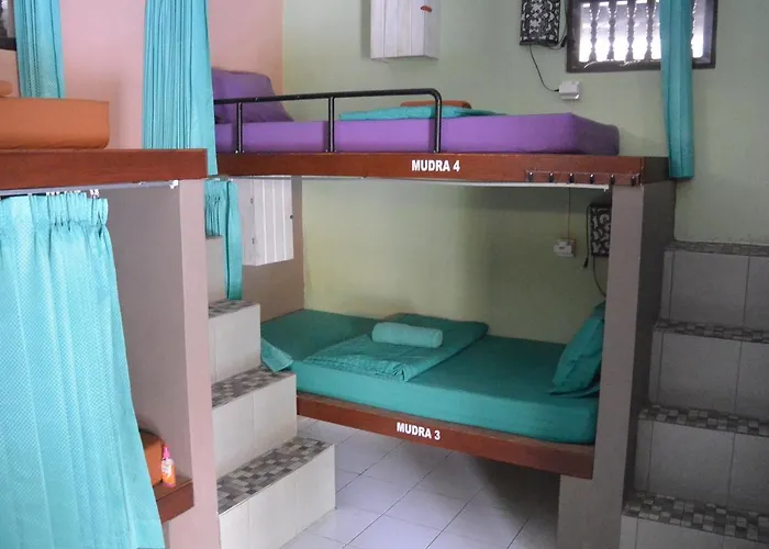 Hostal Gogo Backpackers House *